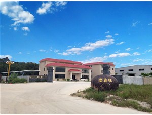 CYNEW another big project--Su Xinwang hollow plastic building formwork